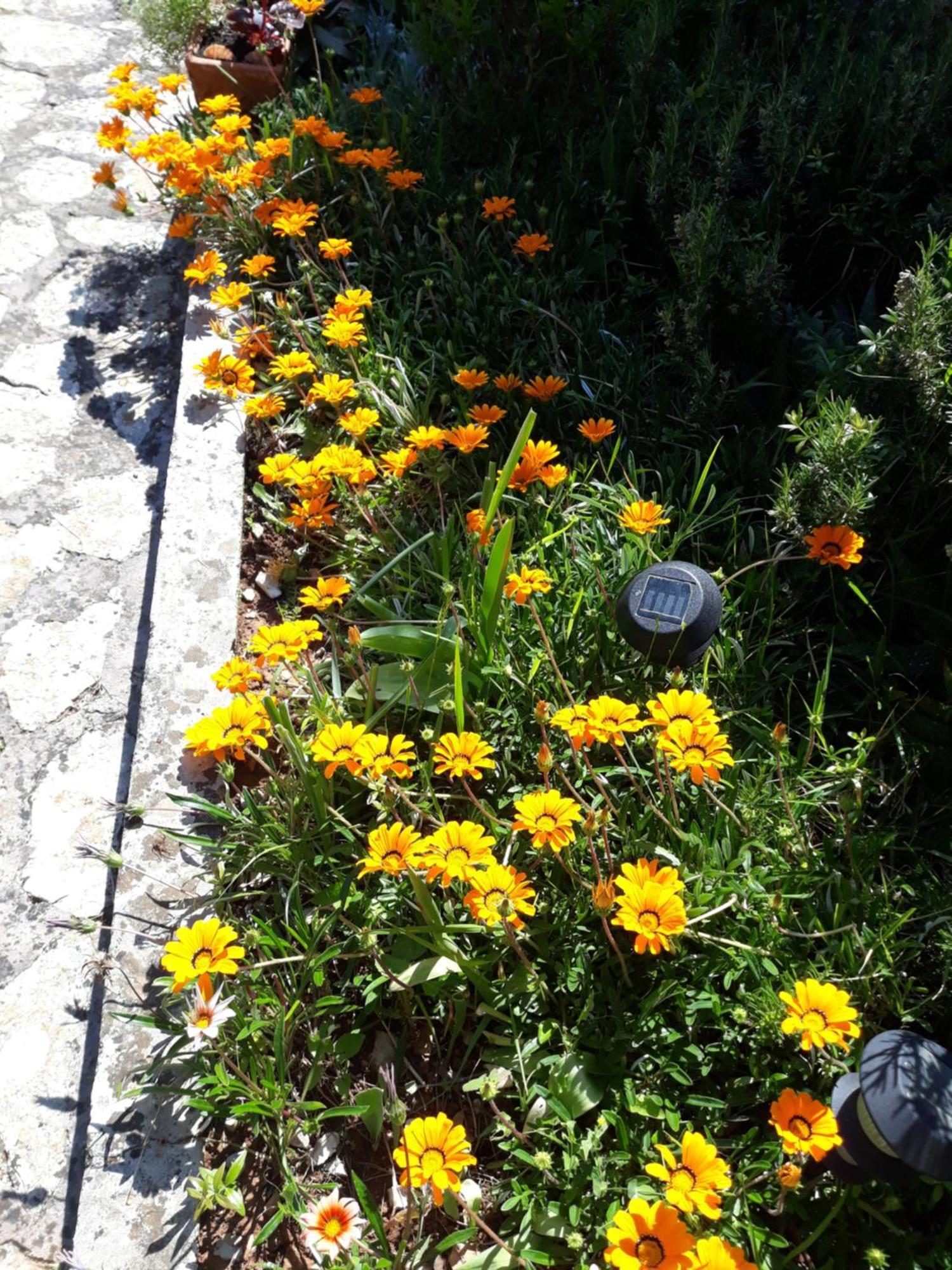 Holiday Home Villa Esperanca Veli Lošinj Exteriör bild