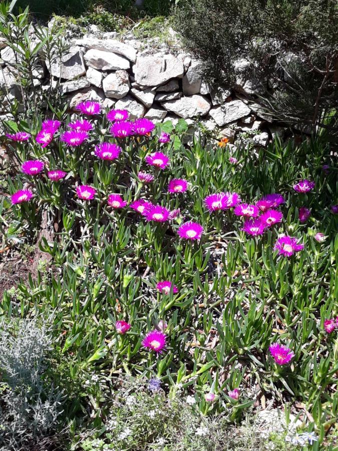 Holiday Home Villa Esperanca Veli Lošinj Exteriör bild